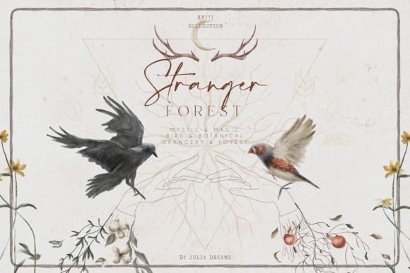 Download Stranger Forest Collection - Collection Collection