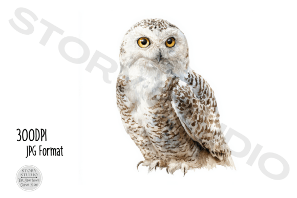 Download Majestic Snowy Owl Clipart Collection - Collection Collection